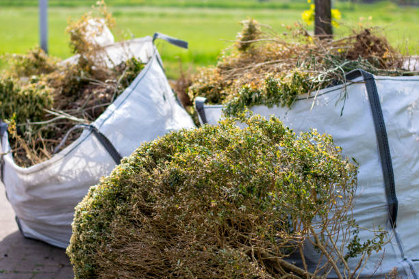 Best Attic Cleanout Services  in Elmwood Park, IL
